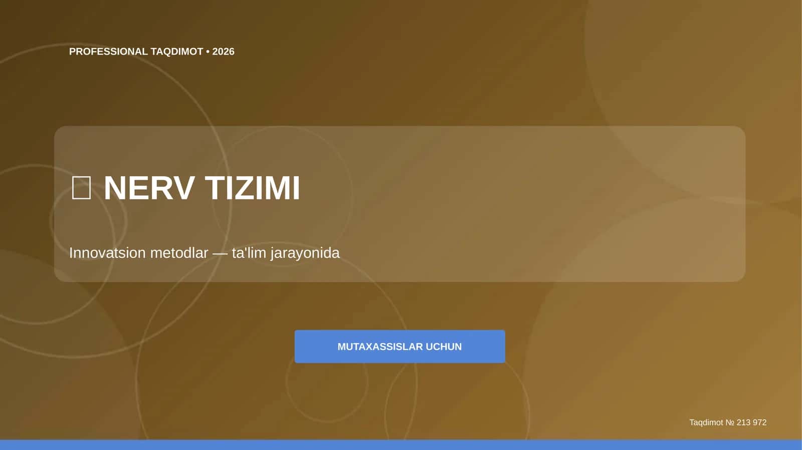 PROFESSIONAL TAQDIMOT • 2026 1