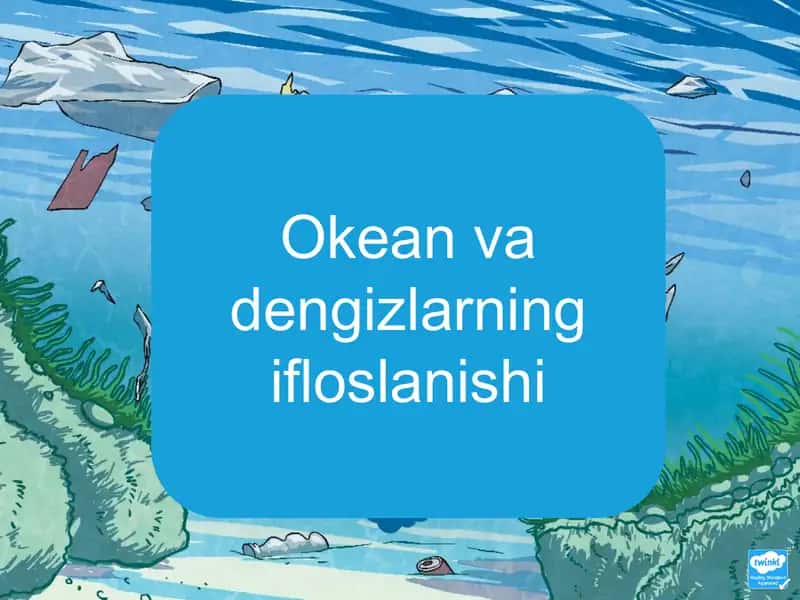 Okean va dengizlarning ifloslanishi 1
