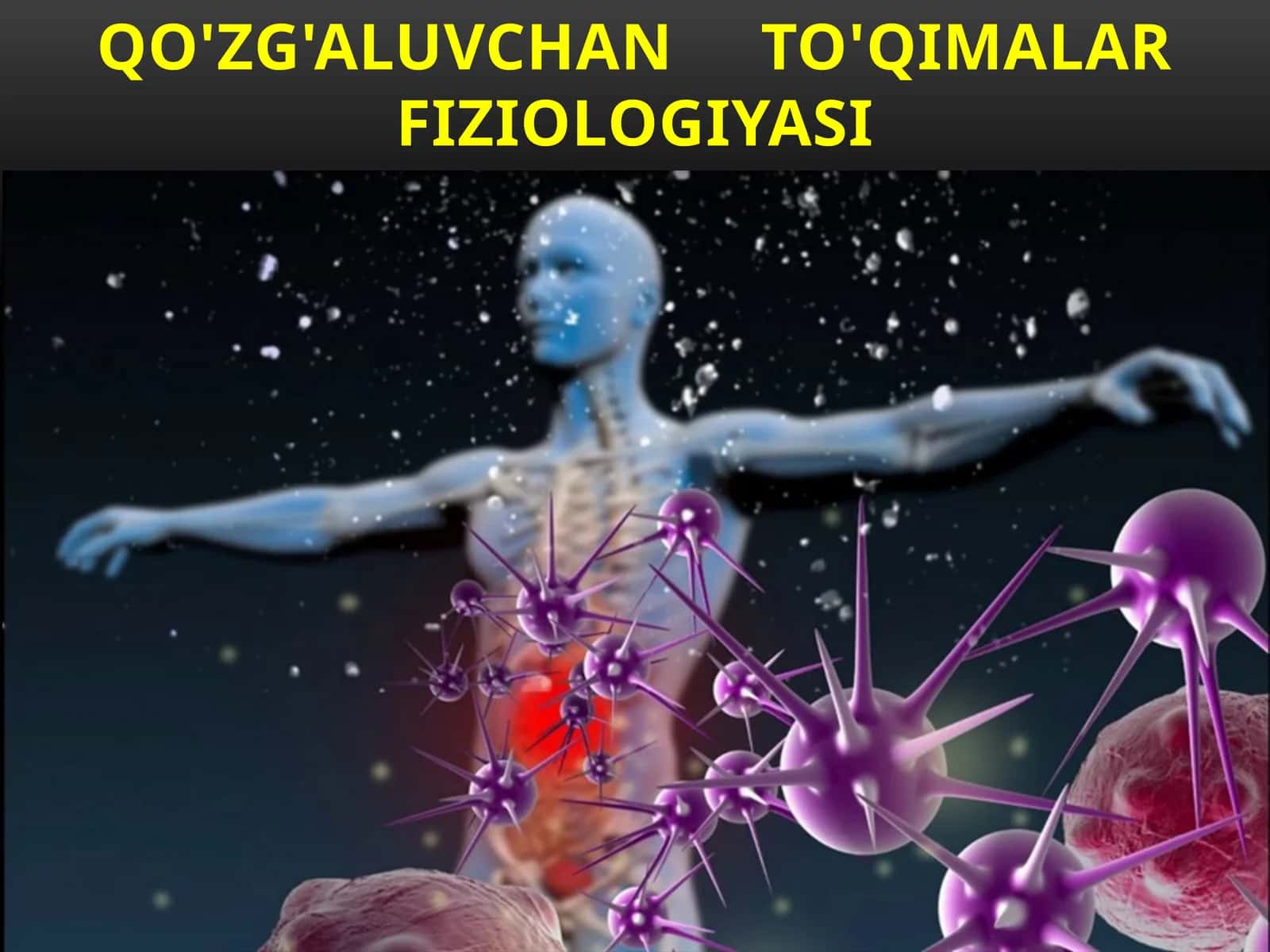 Qo'zg'aluvchanto'qimalar fiziologiyasi 1