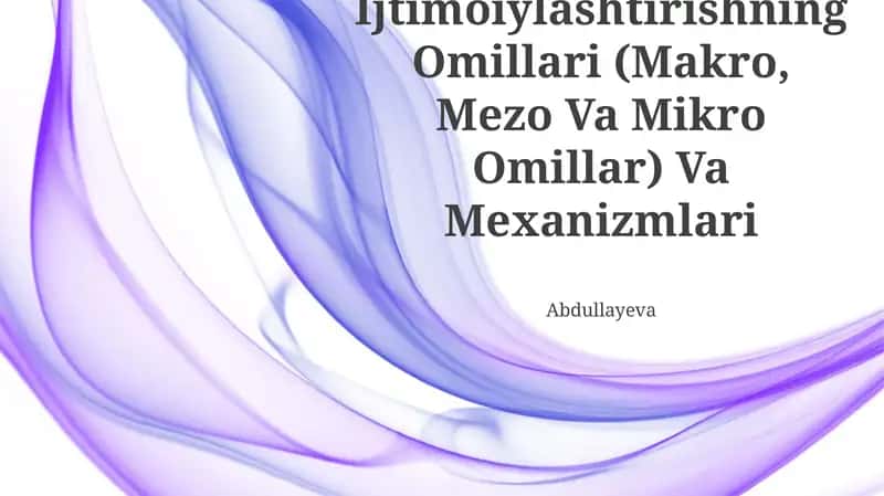 Ijtimoiylashtirishning Omillari (Makro, Mezo Va Mikro Omillar) Va Mexanizmlari 1