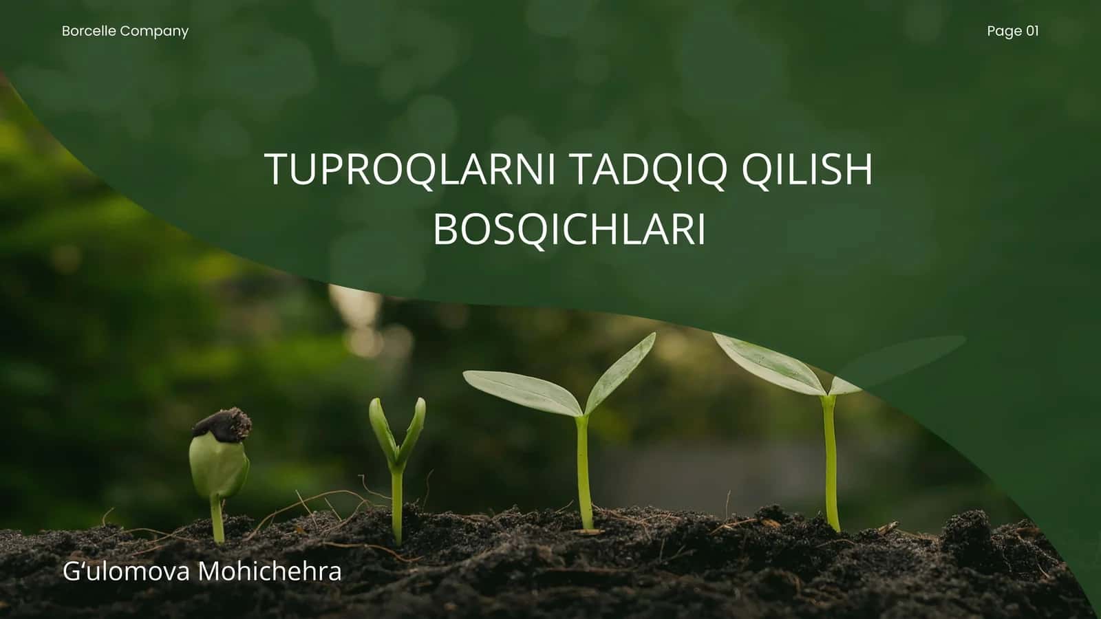 TUPROQLARNI TADQIQ QILISH BOSQICHLARI 1