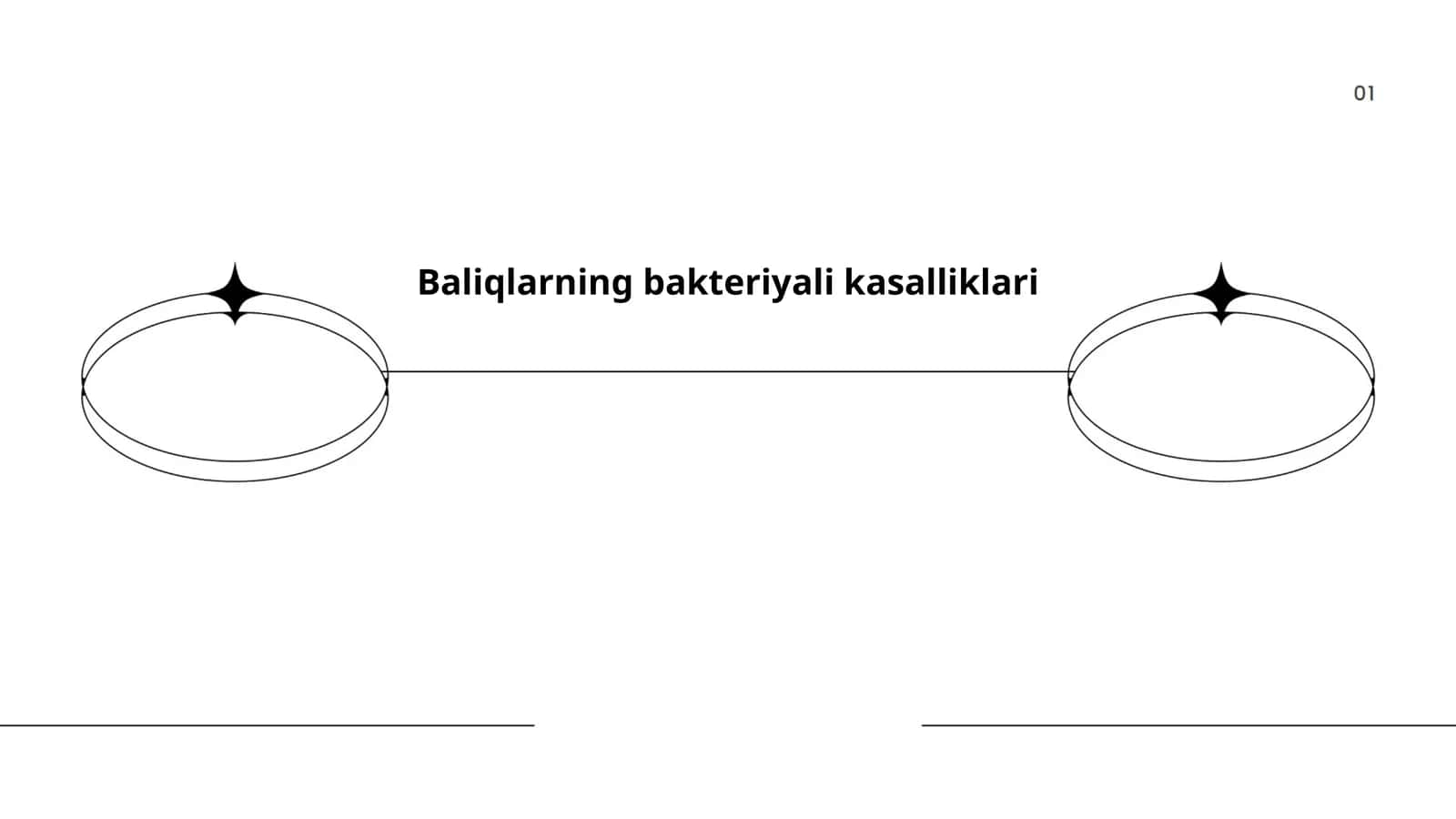 Baliqlarning bakteriyali kasalliklari 1