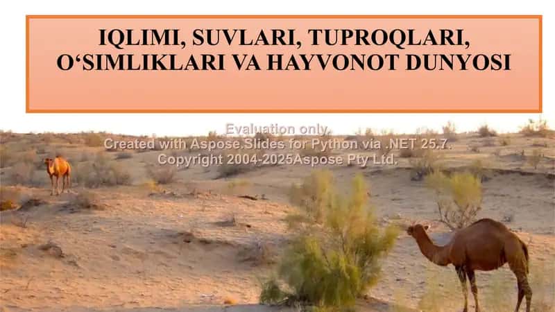 Iqlim, suvlar, tuproqlar, o‘simliklar va hayvonot dunyosi 1