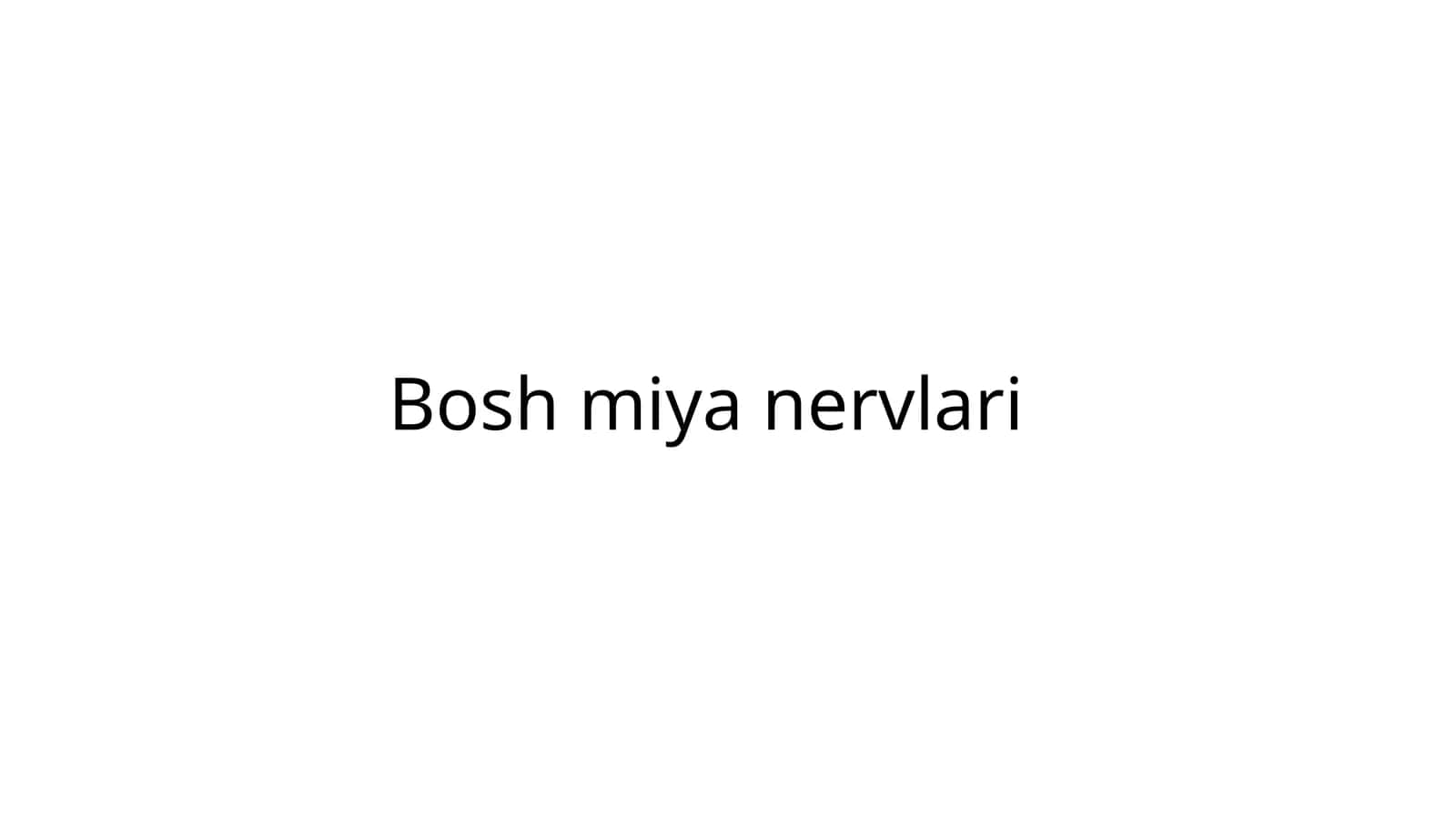 Bosh miya nervlari 1