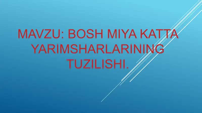 Bosh miya katTa yarimsharlarining tuzilishi. 1