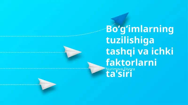 Bo'g'imlar tuzilishiga tashqi va ichki faktorlarni ta'siri 1