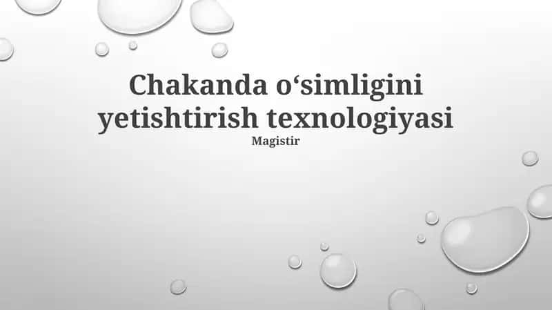 Chakanda Oʻsimligini Yetishtirish Texnologiyasi 1