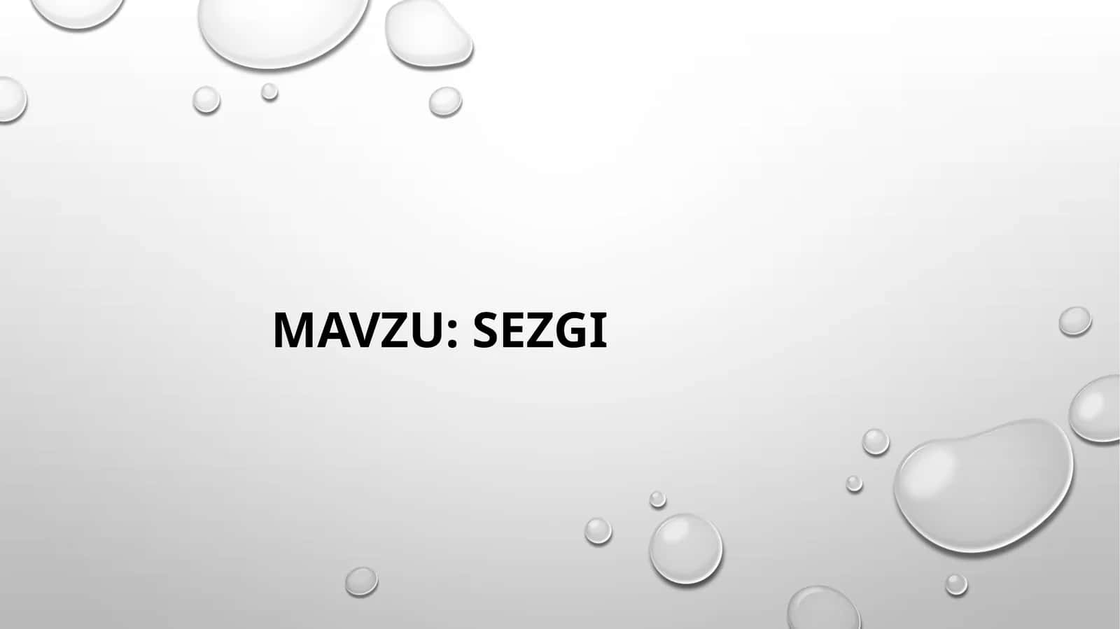 SEZGI 1