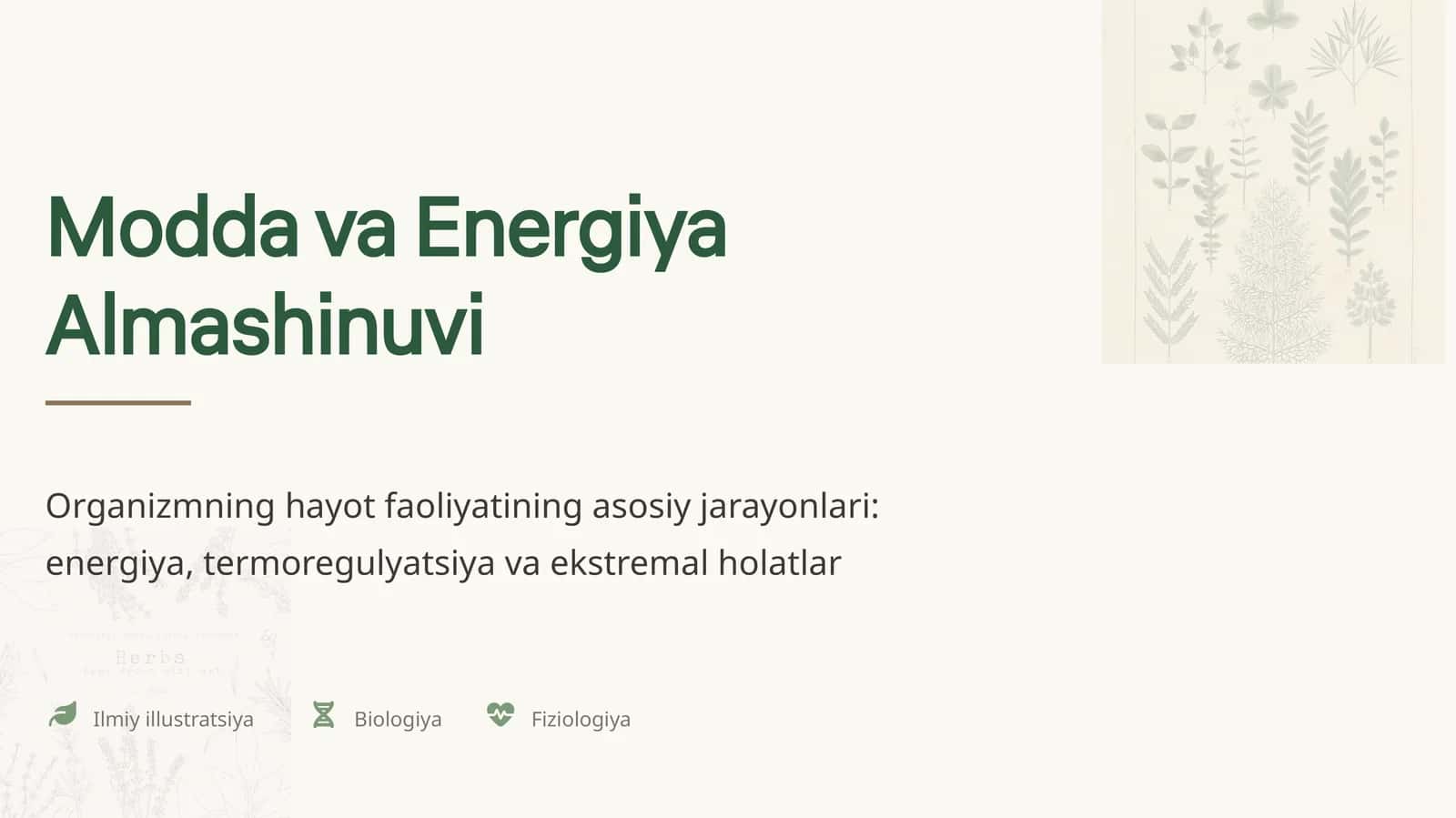 Modda va Energiya 1