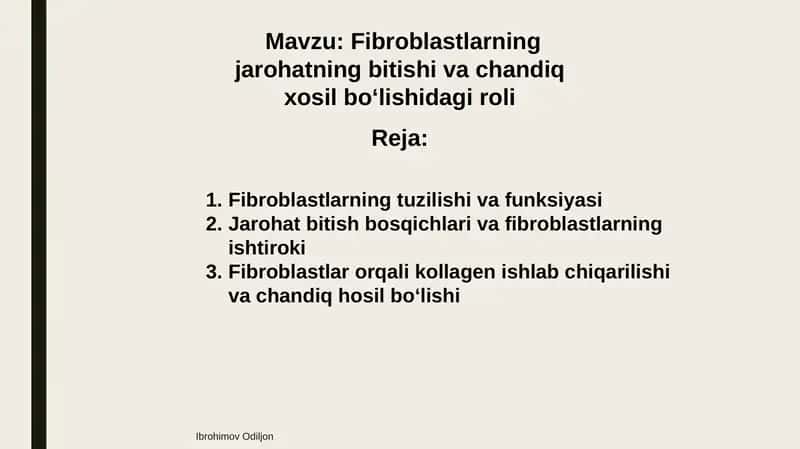 Fibroblastlarning jarohatning bitishi va chandiq xosil bo‘lishidagi roli 1