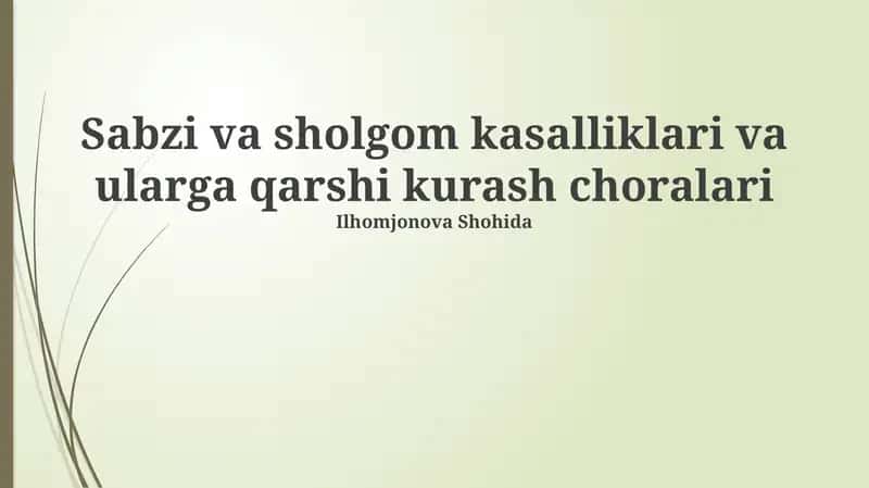 Sabzi va sholgom kasalliklari va ularga qarshi kurash choralari 1