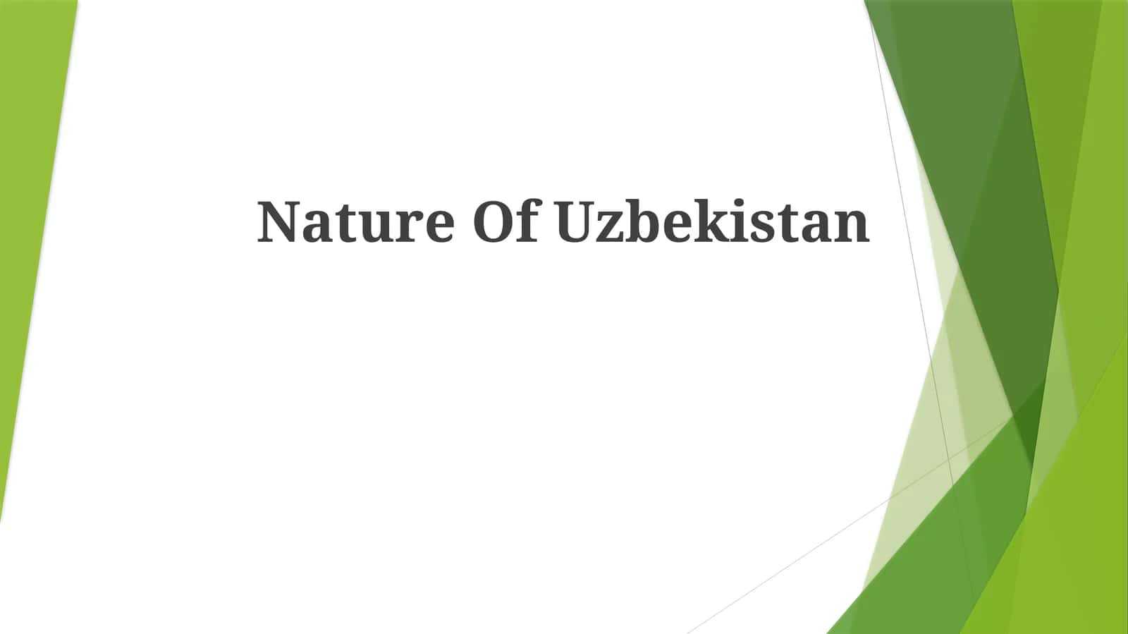 Nature Of Uzbekistan 1