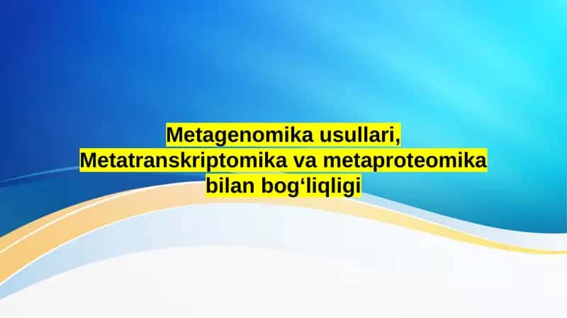 Metagenomika usullari, Metatranskriptomika va metaproteomika bilan bog‘liqligi 1