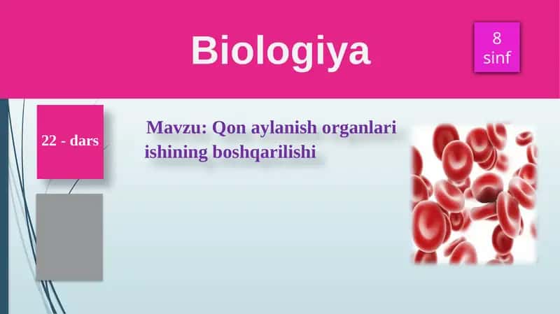 Qonaylanish organlari ishining boshqarilishi 1