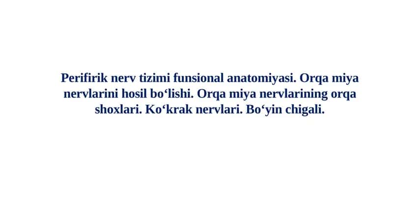 Perifirik nerv tizimi funksional anatomiyasi 1