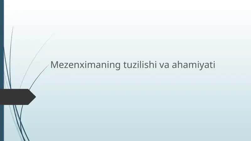 mezenxima 1