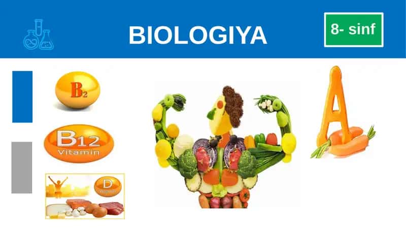 vitaminlar va ularning ahamiyati 1