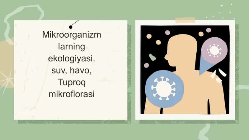 Mikroorganizm larning ekologiyasi 1