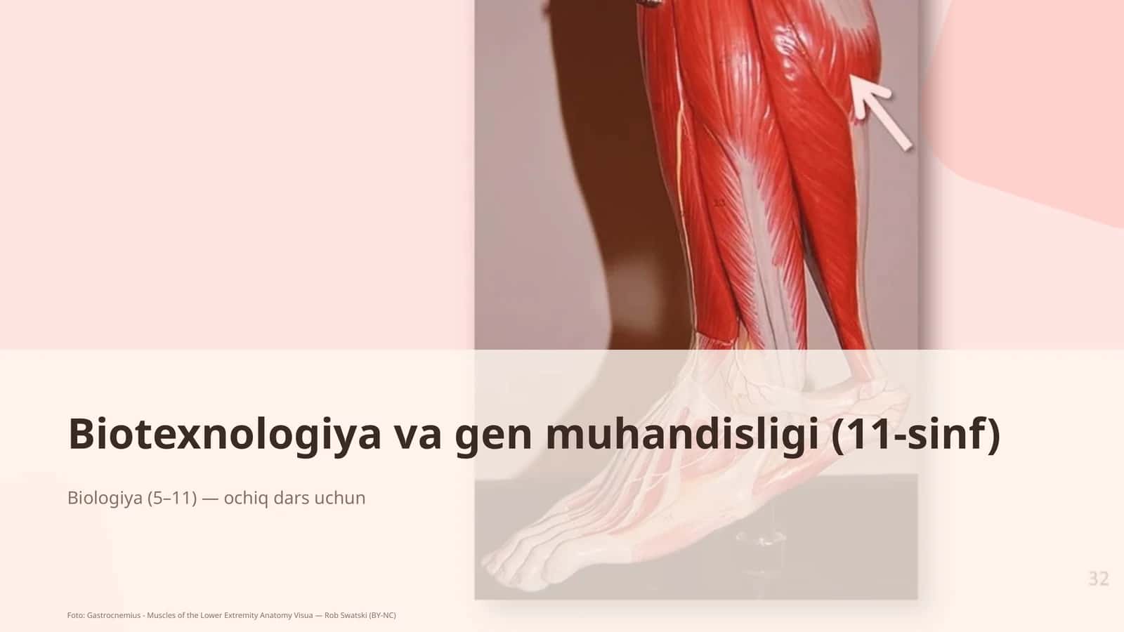 Biotexnologiya va gen muhandisligi (11-sinf) 1
