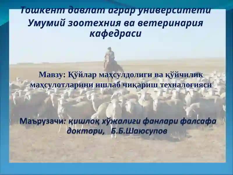 Қўйлар маҳсулдолиги ва қўйчилик маҳсулотларини ишлаб чиқариш технологияси