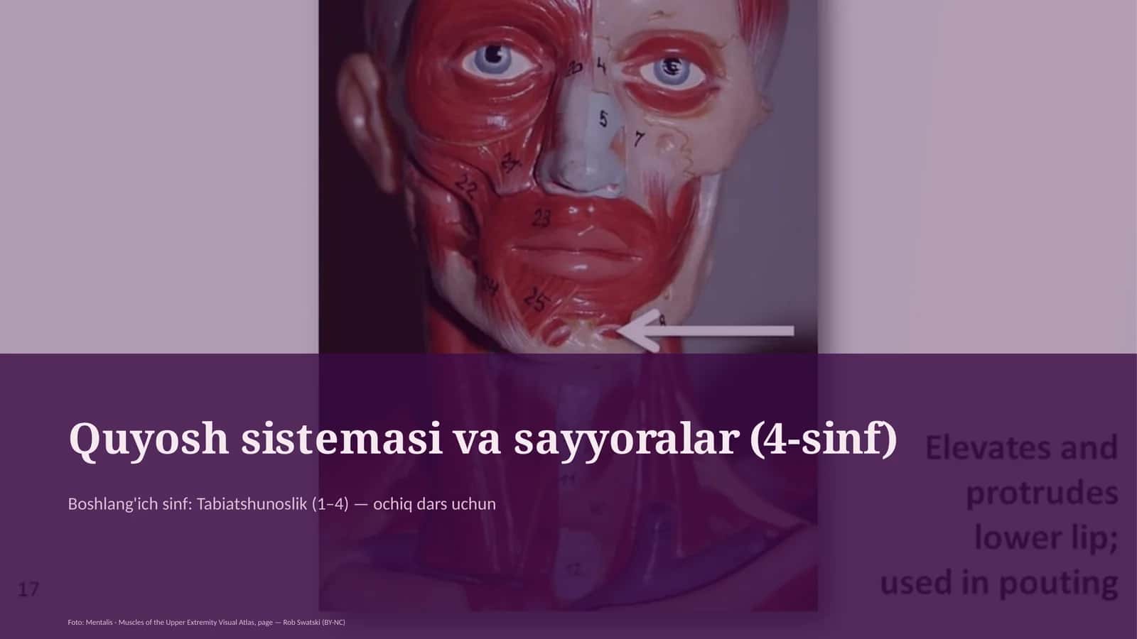 Quyosh sistemasi va sayyoralar (4-sinf) 1