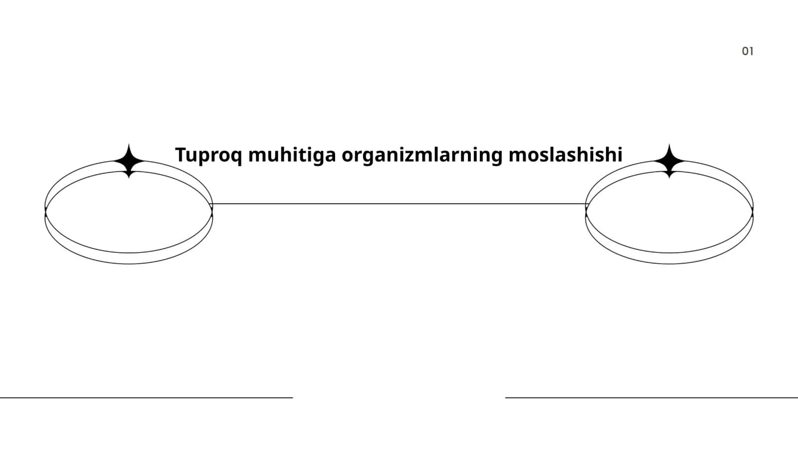 Tuproq muhitiga organizmlarning moslashishi 1