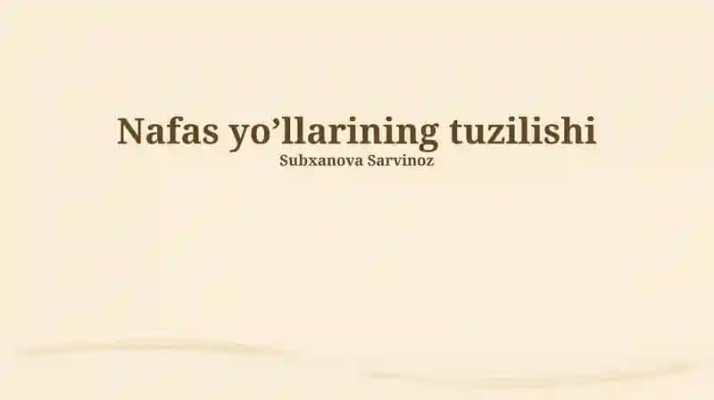 Nafas yo’llarining tuzilishi
