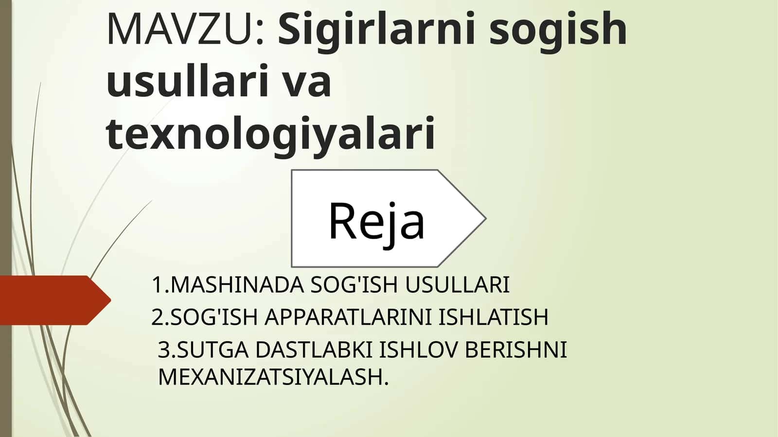 Sigirlarni sog'ish usullari va texnologiyalari 1