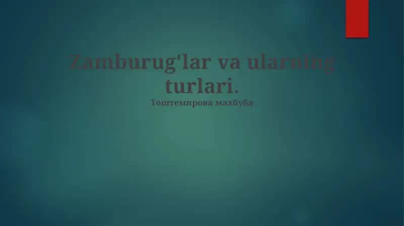 Zamburug'lar va ularning turlari 1