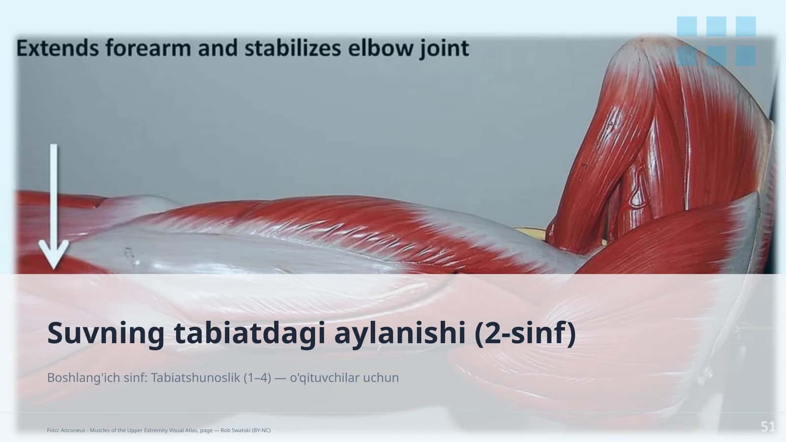 Suvning tabiatdagi aylanishi (2-sinf) 1