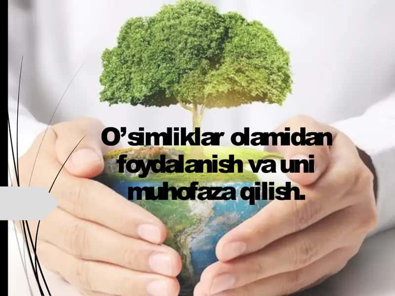 O'simliklar olamidan foydalanish va muhofaza qilish 1
