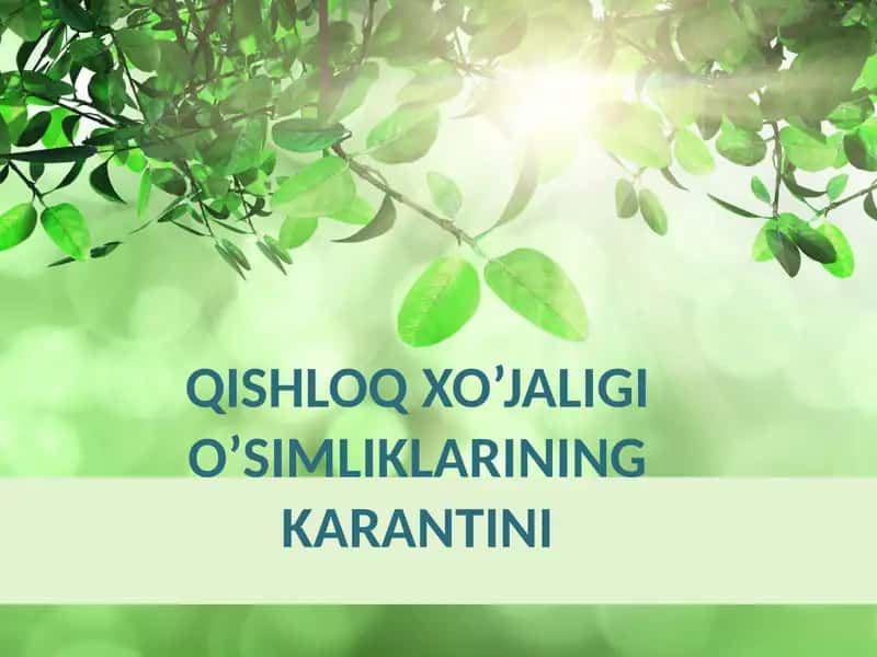 Qishloq xo’jaligi o’simliklarining karantini 1
