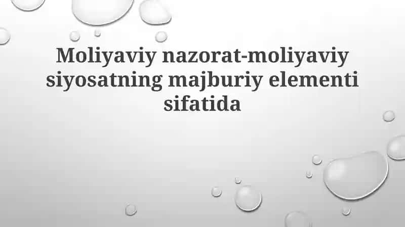 Moliyaviy nazorat 1