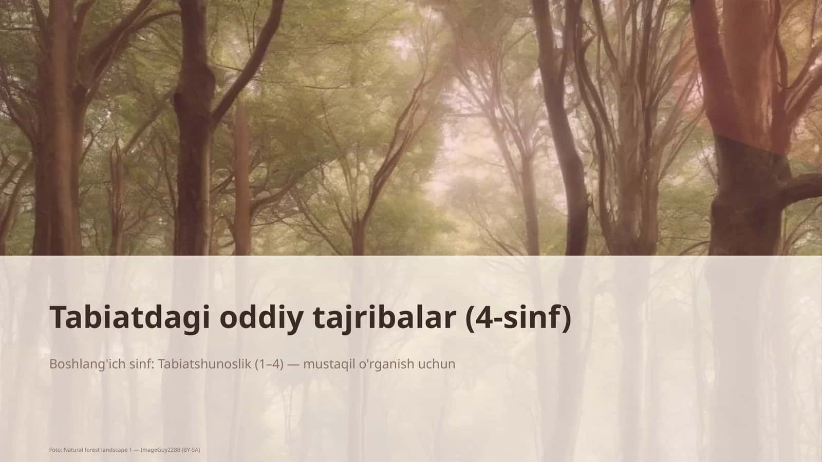 Tabiatdagi oddiy tajribalar (4-sinf) 1