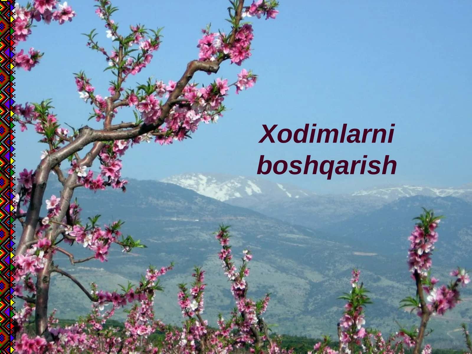 Kadrlar boshqarish 1
