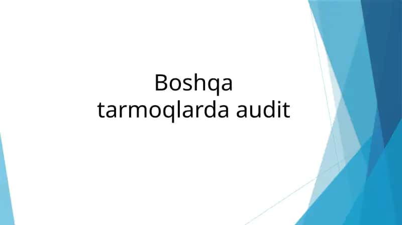 Boshqa tarmoqlarda audit 1