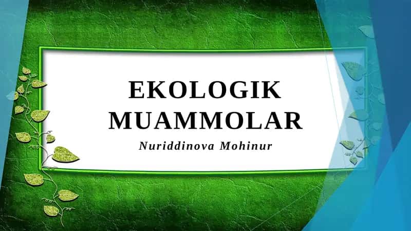 Ekologik muammolar 1