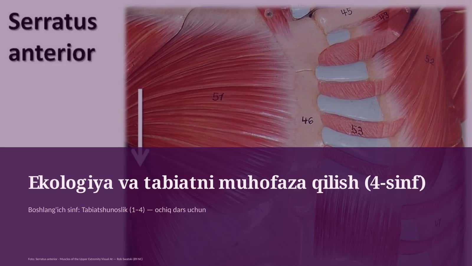 Ekologiya va tabiatni muhofaza qilish (4-sinf) 1