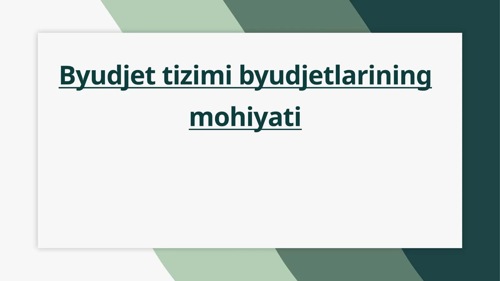 Byudjet tizimi va uning mohiyati 1