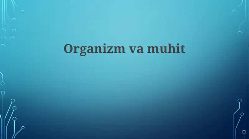 Organizmvamuhit 1