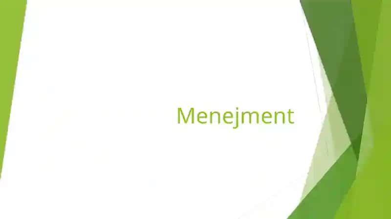 Menejment