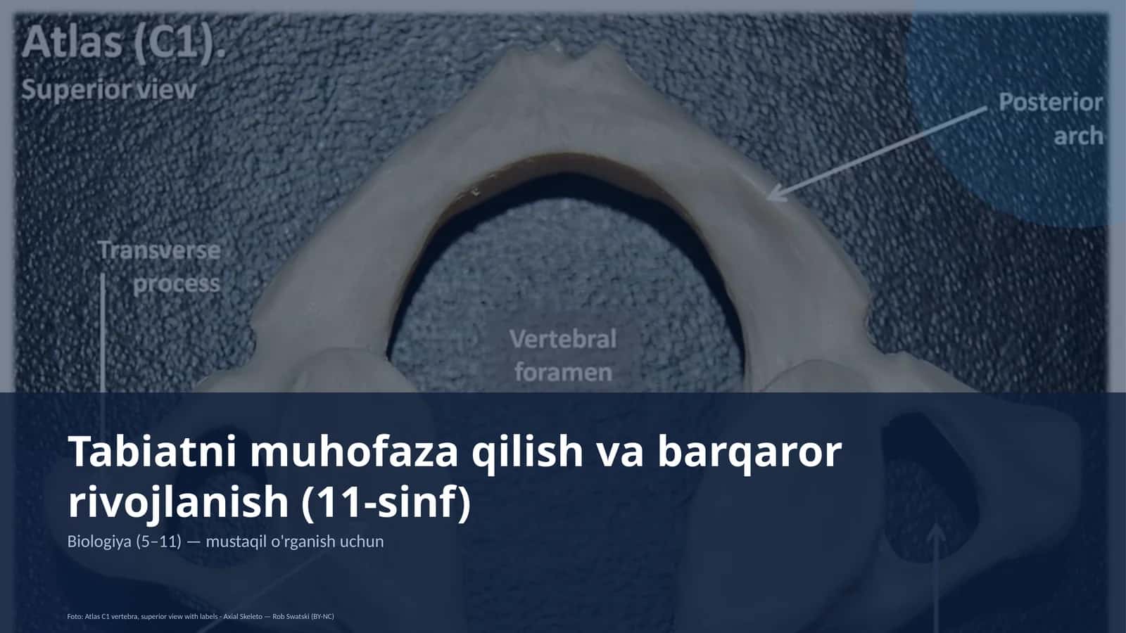 Tabiatni muhofaza qilish va barqaror rivojlanish (11-sinf) 1
