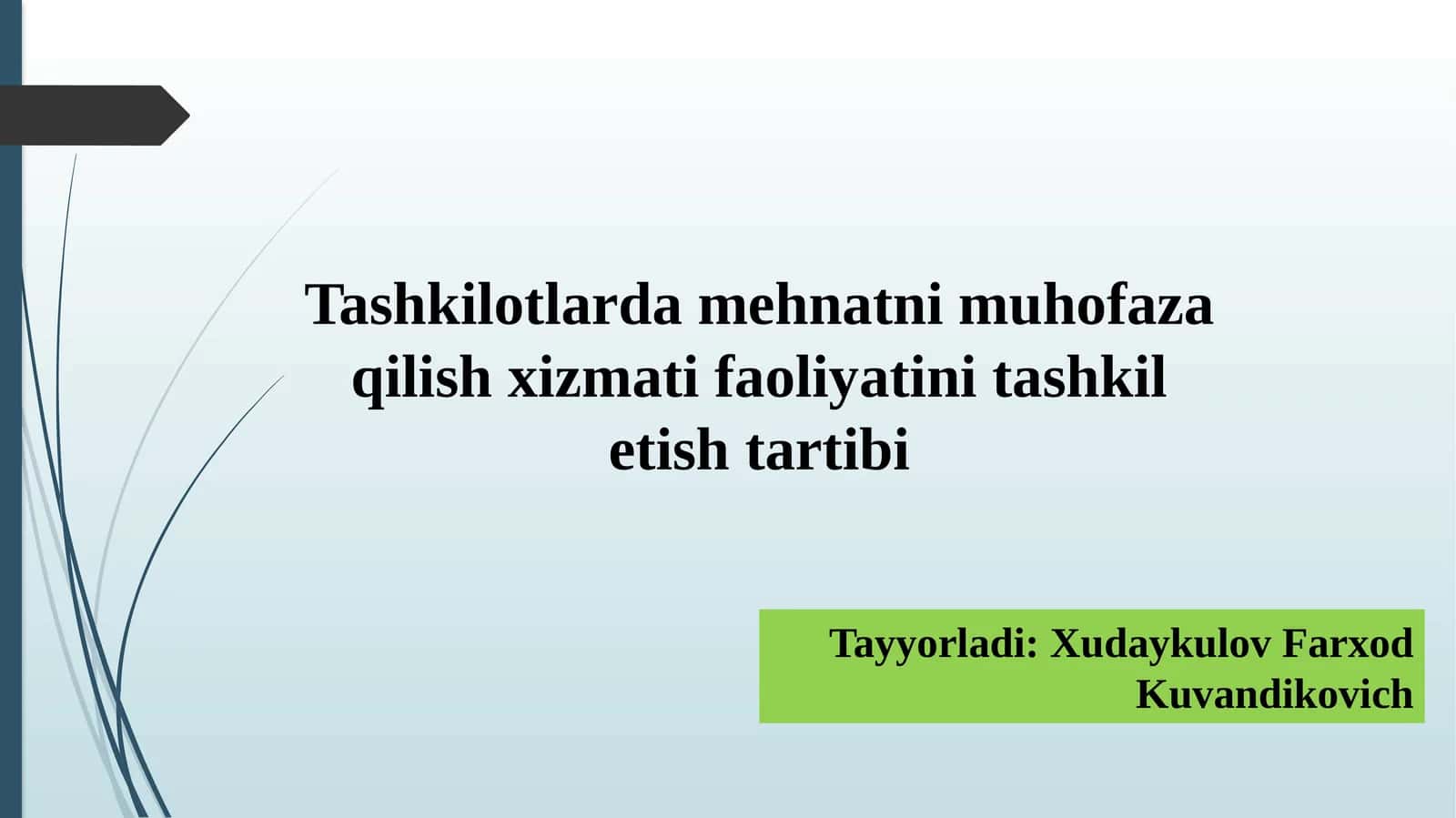 Tashkilotlardamehnatnimuhofazaqilishxizmatifaoliyatini tashkitletishtartibi 1