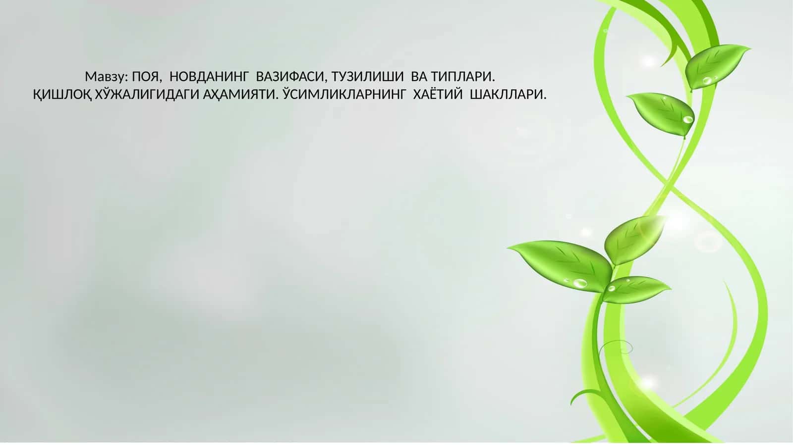 ПОЯ, НОВДАНИНГ ВАЗИФАСИ, ТУЗИЛИШИ ВА ТИПЛАРИ 1