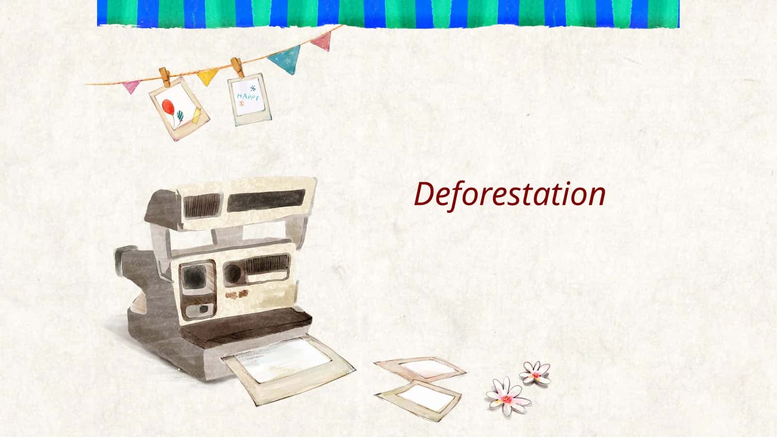 Deforestation 1
