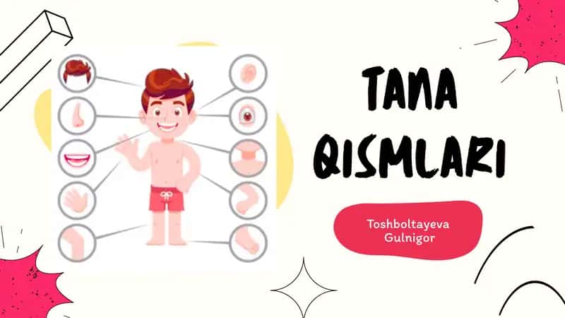 TANA QISMLARI 1