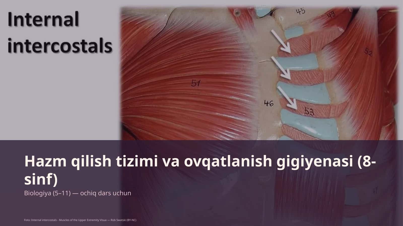 Hazm qilish tizimi va ovqatlanish gigiyenasi (8-sinf) 1