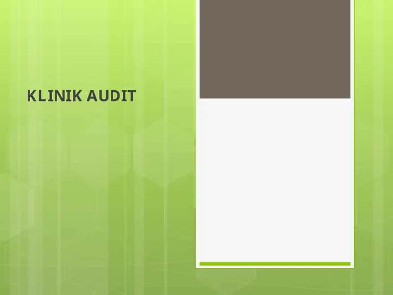 KLINIK AUDIT 1
