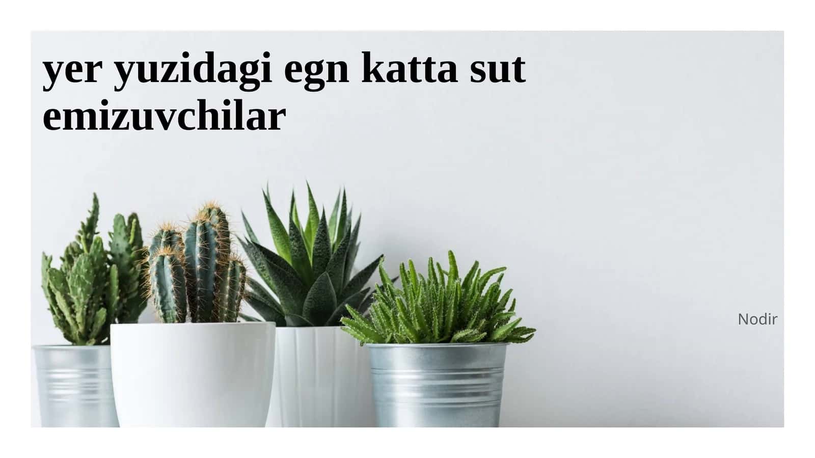 yer yuzidagi egn katta sut emizuvchilar 1