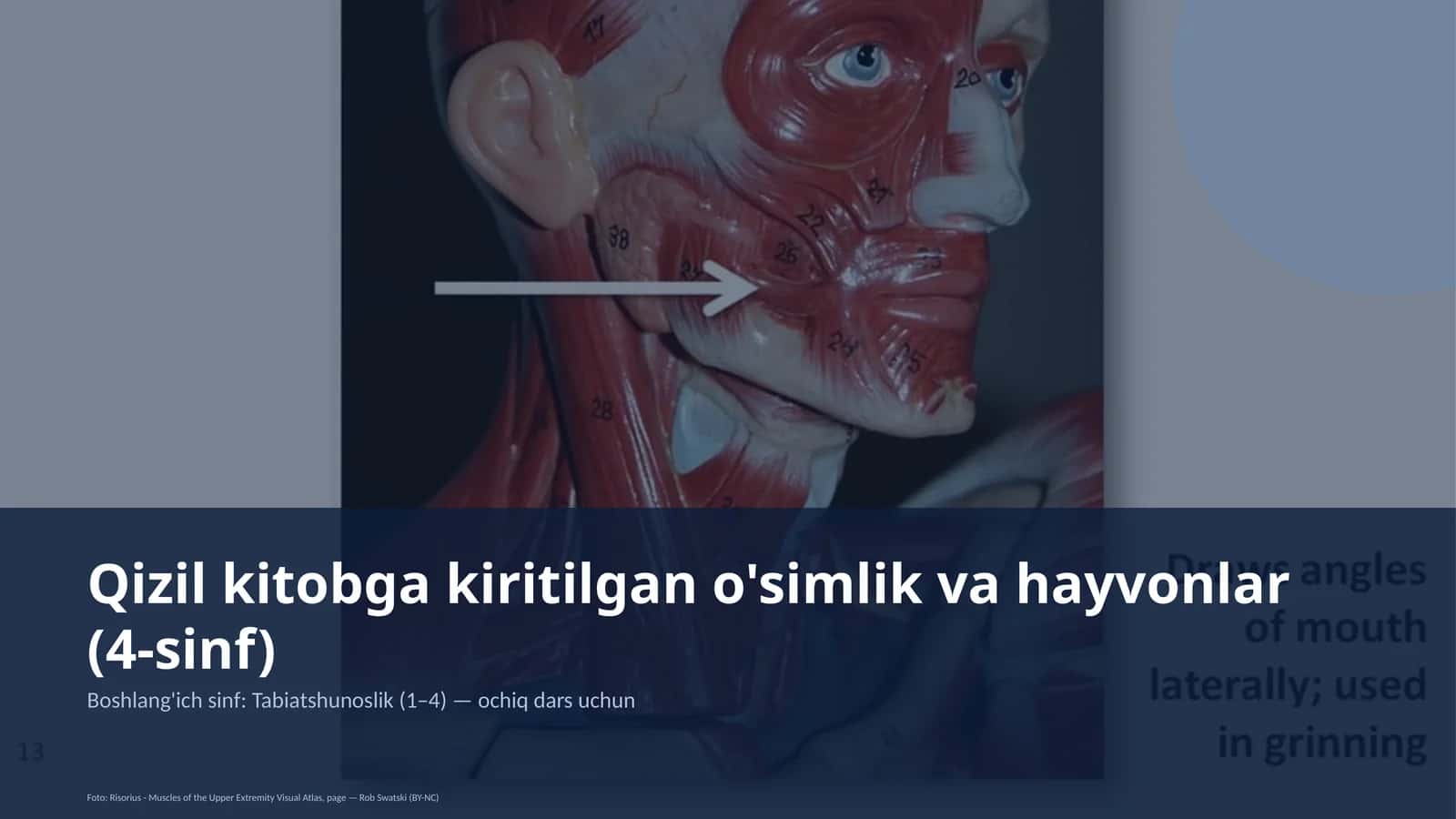 Qizil kitobga kiritilgan o'simlik va hayvonlar (4-sinf) 1